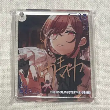 히구치 마도카 코롯타