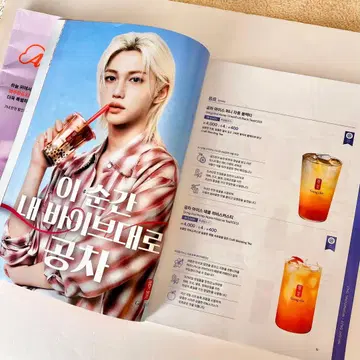 JEJU Air 기내지 스키즈 필릭스 공차 2025년