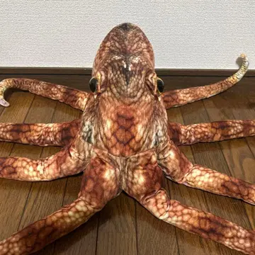 마다코짱 사카나 군 프로듀스 특대형 리얼 봉제 인형 문어 타코