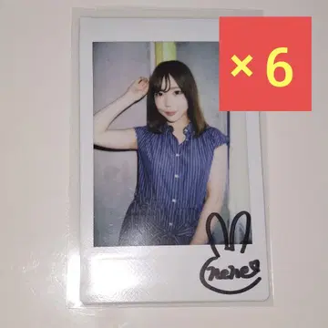 호시노 네네 친필 사인 현장 폴라로이드 6장 세트