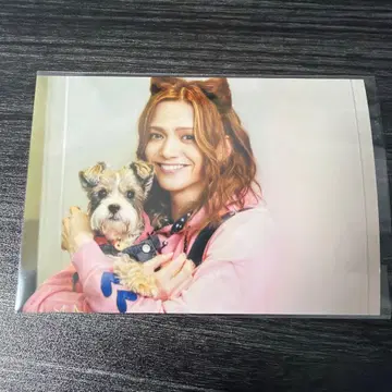 미우라 료스케 아사스테! 구매 혜택 브로마이드 만다 애견