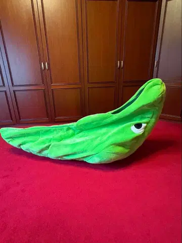 절대 나가고 싶지 않은 란셀 포켓몬 침낭