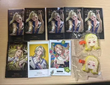 카리스마 테라 폴라로이드 앞머리 클립