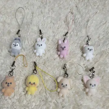 Straykids 스키즈 skzoo 팬미팅 미니 참