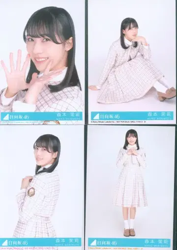 히나타자카46 키미시카칸탄 모리모토 마리 봉입 특전 생사진 4종 컴프