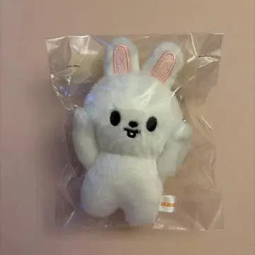 Skzoo Straykids 리비트 10cm 마그넷