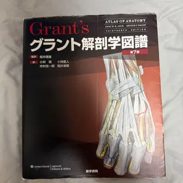 그랜트 해부학 도보