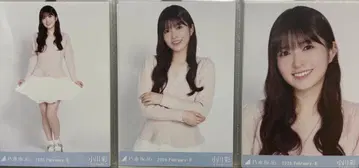 노기자카46 브로마이드 페플럼 틸 컴프 오가와 아야