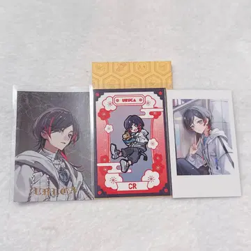 crazy raccoon CR 우루카 할로윈 신춘 폴라로이드 셀피