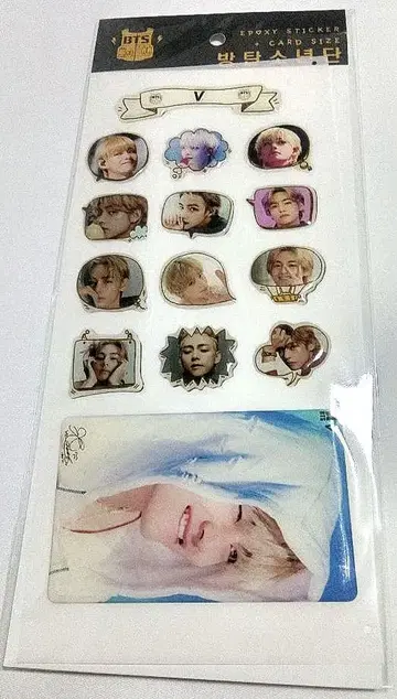 bts 태태 푸크푸크씰