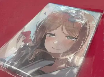 It's MyGO 애니메이트 북 페어 2026 혜택 머플러 타월