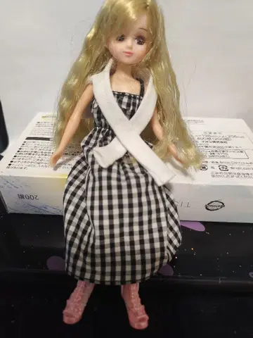 리카짱 인형 본체 체크 무늬 드레스