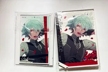 카라 마리 아크릴 스탠드 아크카 존엄