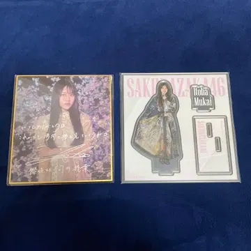 사쿠라자카46 무카이 이토하 아크릴 스탠드. 사쿠라 컬렉션 C상 세트