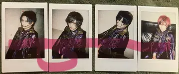 [장미 가능] 자아자아 봄눈꽃 씨 폴라로이드