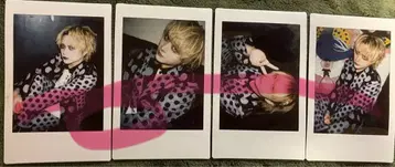 [장미 가능] 자아자아 봄눈꽃 씨 폴라로이드