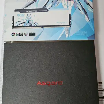 Asgard ROG STRIX DDR5 32GB 6800MHz 초급처 | 메모리/VGA | 번개장터