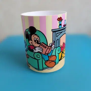 디즈니 내셔널 필통