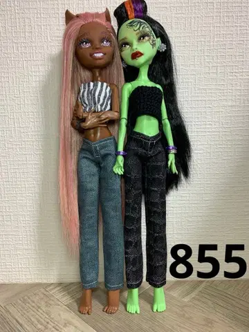 855.G1 몬스터 하이 언니 사이즈