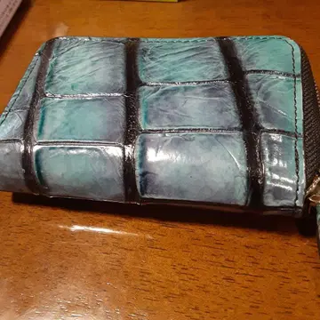 청록색 코인 케이스