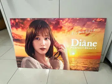 혼다 츠바사 Diane Perfect Beauty 판촉물 보드 양면