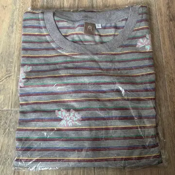 카네코 아야노 롱 T