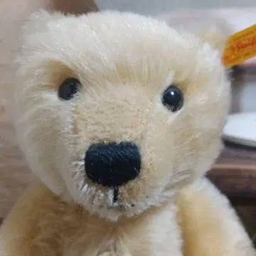 슈타이프 테디베어 독일제