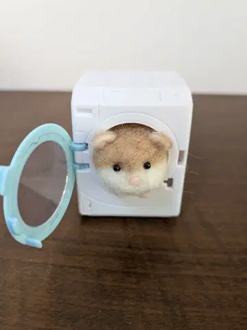 양모 펠트 햄스터 로보로프스키