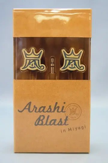 아라시 15년 ARASHI BLAST in Miyagi 이어폰
