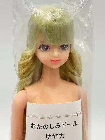 사야카 리카짱 캐슬 즐거운 인형 금 옐로우 그린 계열 헤어 제니 프렌드