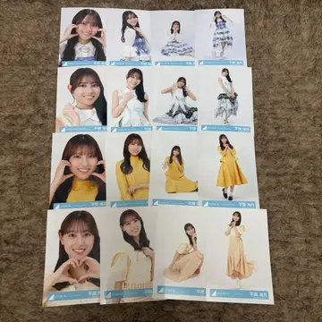 히라오카 미즈키 16종 컴프 히나탄사이 몽그루 JOYFUL 파스텔