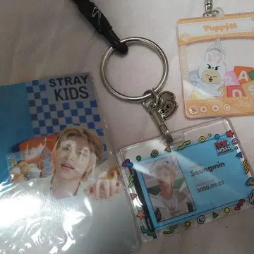 Stray Kids 승민 포토 카드 & 키링 세트