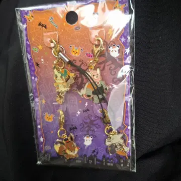 피카츄 & 키테루그마 & 이브이 & 카라카라 메탈 참 세트