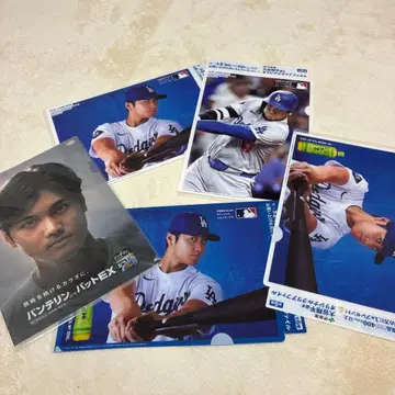 오타니 쇼헤이 반테린 패드 클리어 파일 5장 세트