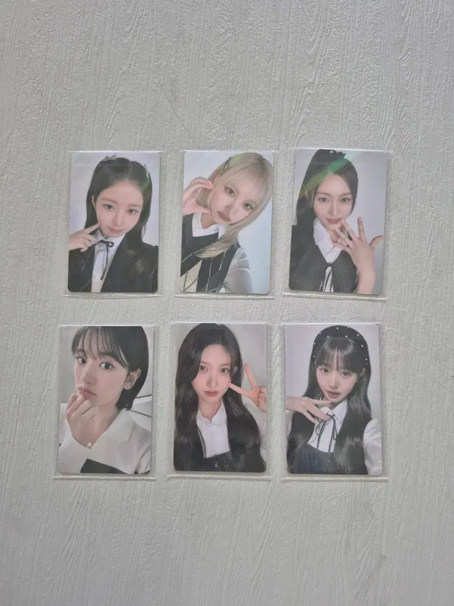 아이브 파파존스 포토카드