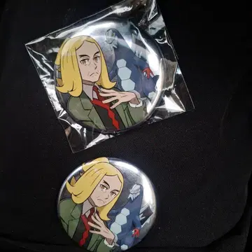 포켓몬 캔뱃지 컬렉션 하삭 세그레이브