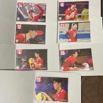 배구 남자 일본 대표 엽서 컬렉션