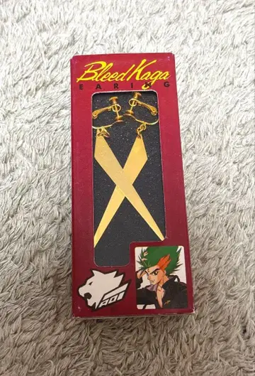 사이버 포뮬러 브리드 카가 귀걸이 당시 물품