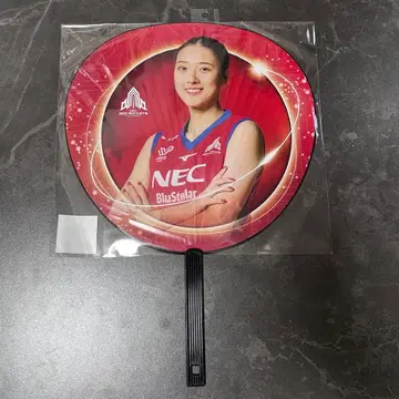 여자 배구 NEC 레드 로케츠 가와사키 사토 요시노 부채