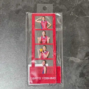 여자 배구 NEC 레드 로케츠 가와사키 4컷 아크릴 스탠드 사토 요시노