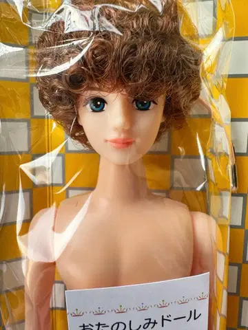 [ 미사용 새상품 ] 레어 오타노시미 인형 타쿠미 리카짱 캐슬 제니