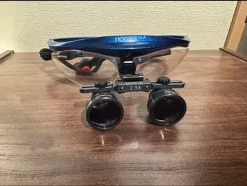 HOGIES 돋보기 파랑 치과