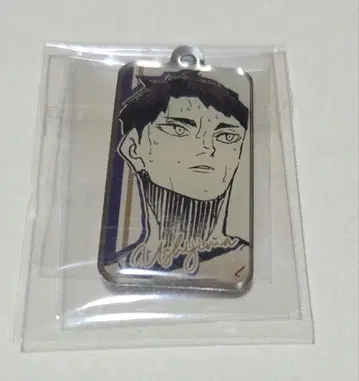 우시지마 와카토시 메탈 참