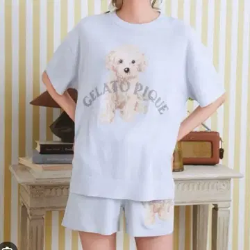 젤라피케 토이 푸들 자카드 룸웨어 BLUE 스카이블루 상하의 세트