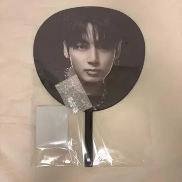 정국 부채 BTS 아리랑 arirang