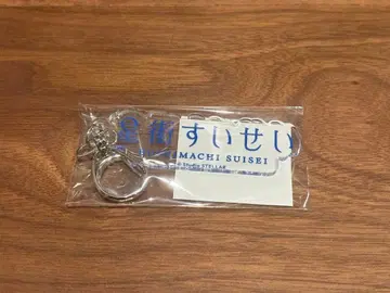 호시마치 스이세이 로고 아크릴 키링 Echoes Baa 2026 한정판