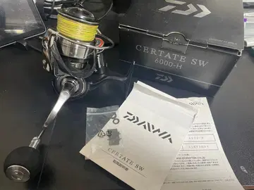 21 셀테이트 SW 6000H