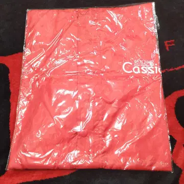 동방신기 카시오페아 레인코트