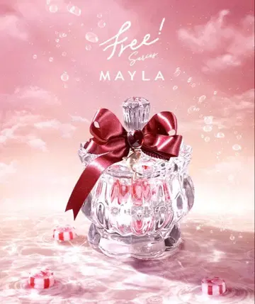 Free! MAYLA 콜라보 애니멀 참 포함 캔디 박스