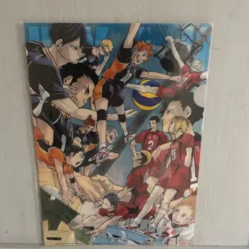 하이큐!! A4 클리어 파일 원화